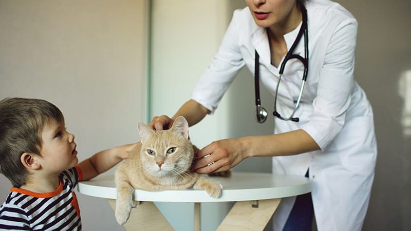 VETERINAIRE de Garde Toulon (83) et Métropole