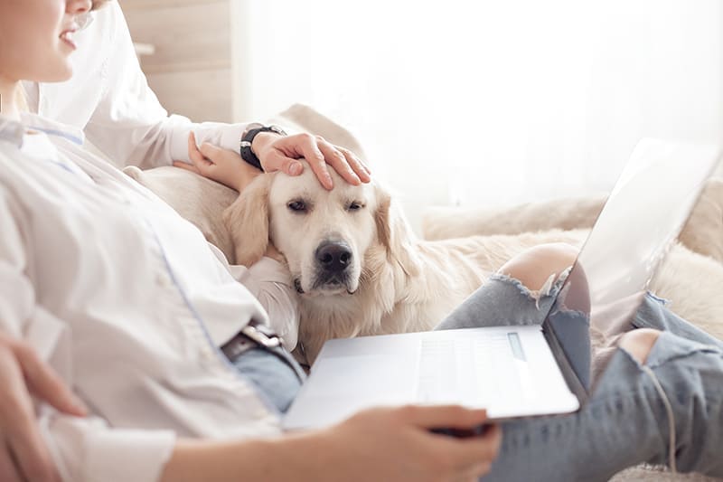 VETERINAIRE de Garde Toulon (83) et Métropole